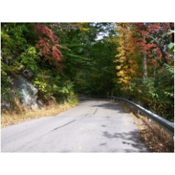 2 Country road along course.jpg